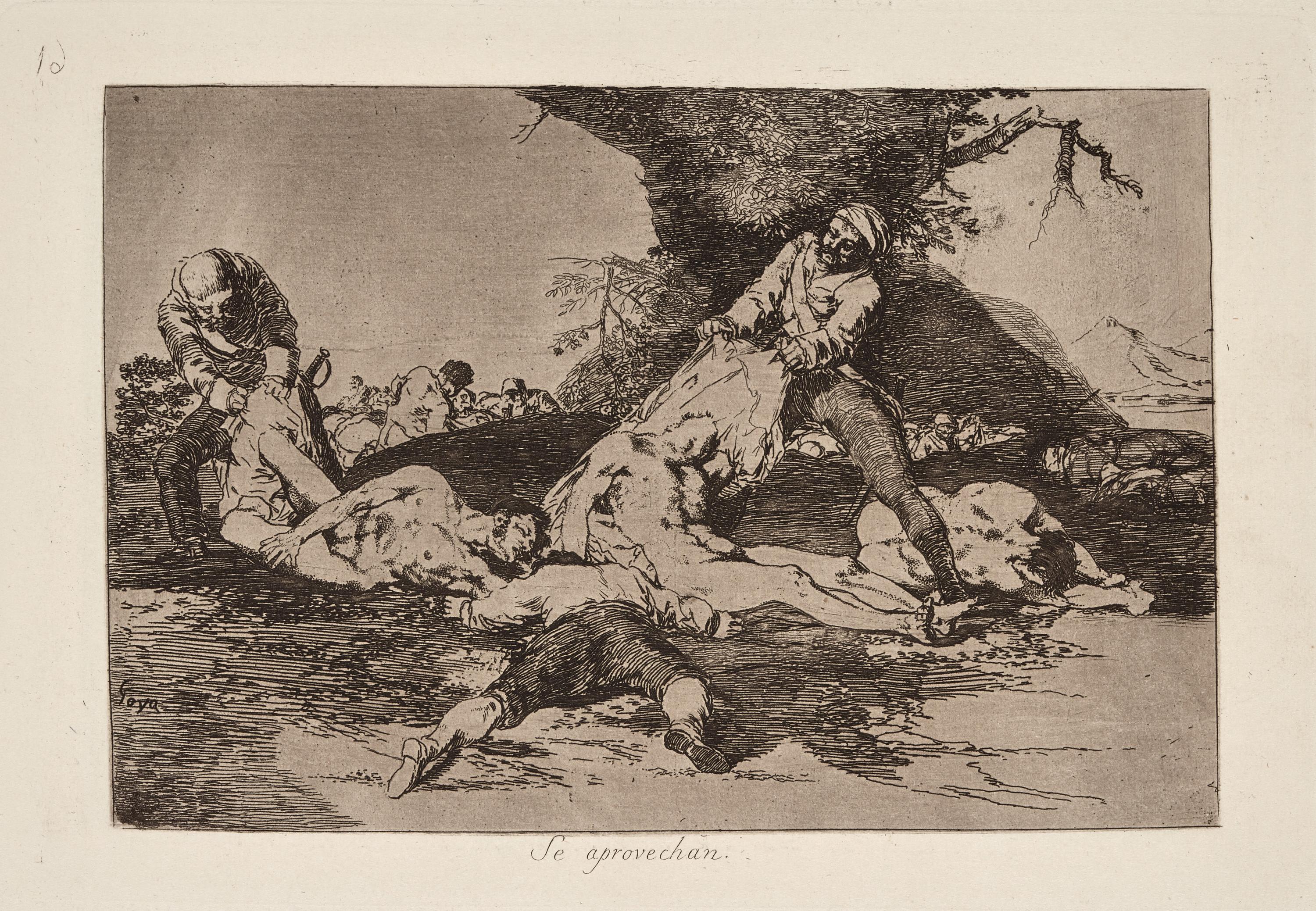 Se aprovechan [They make use of them]