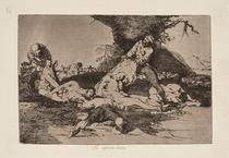 Se aprovechan [They make use of them]