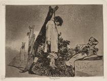 Tampoco [Nor [do these] either]