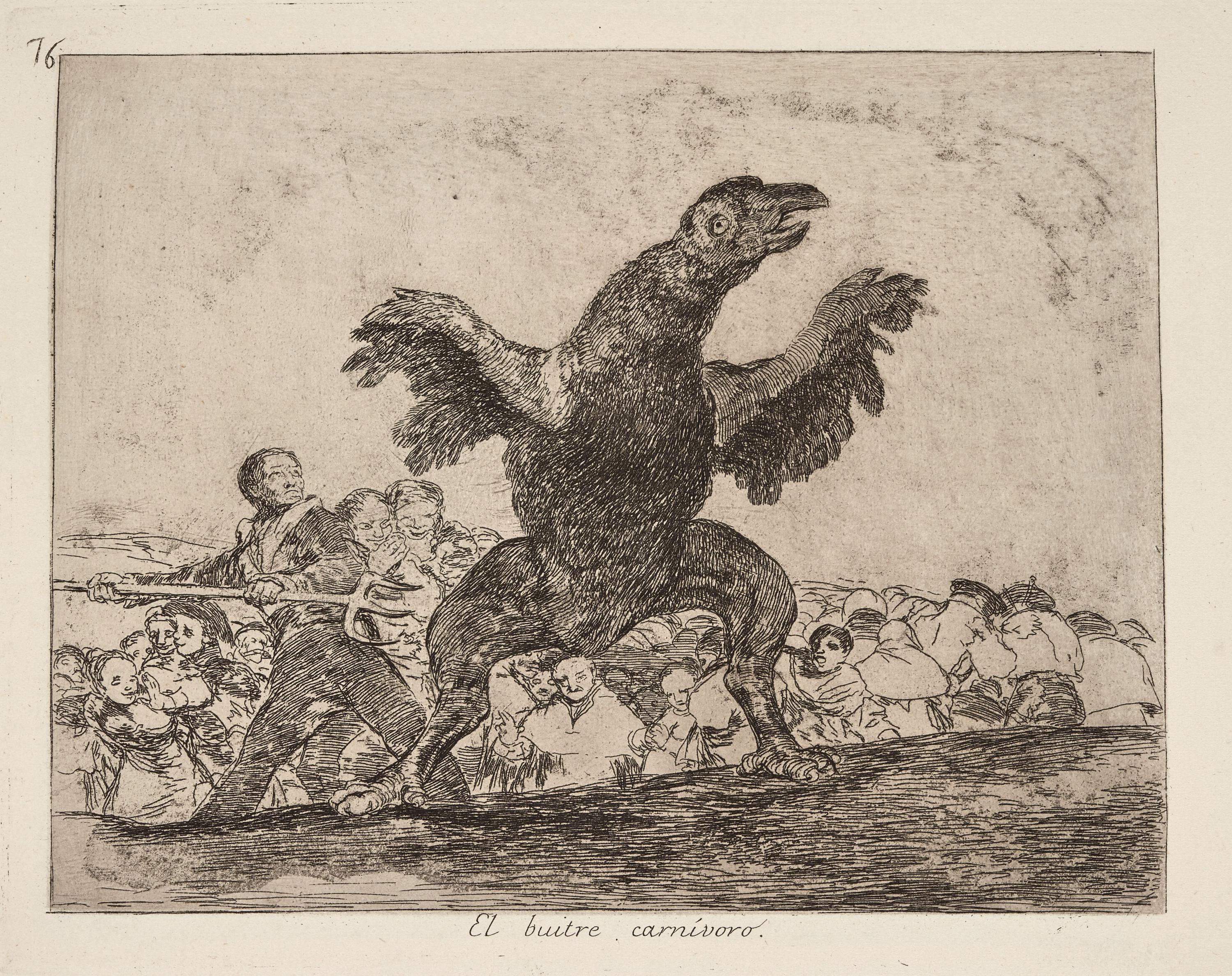 El buitre carnívoro [The carnivorous vulture]