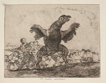 El buitre carnívoro [The carnivorous vulture]