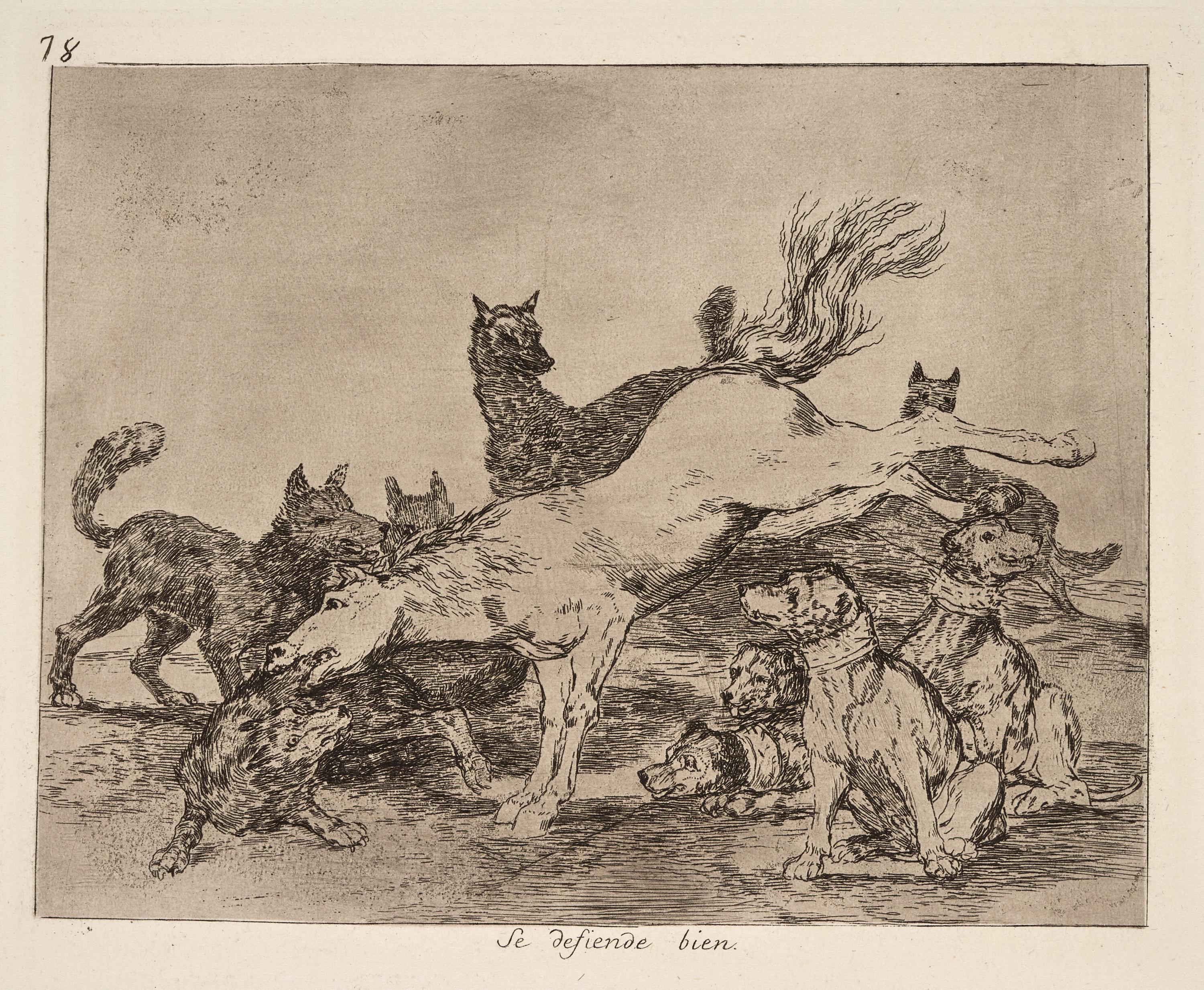 Se defiende bien [He defends himself well]