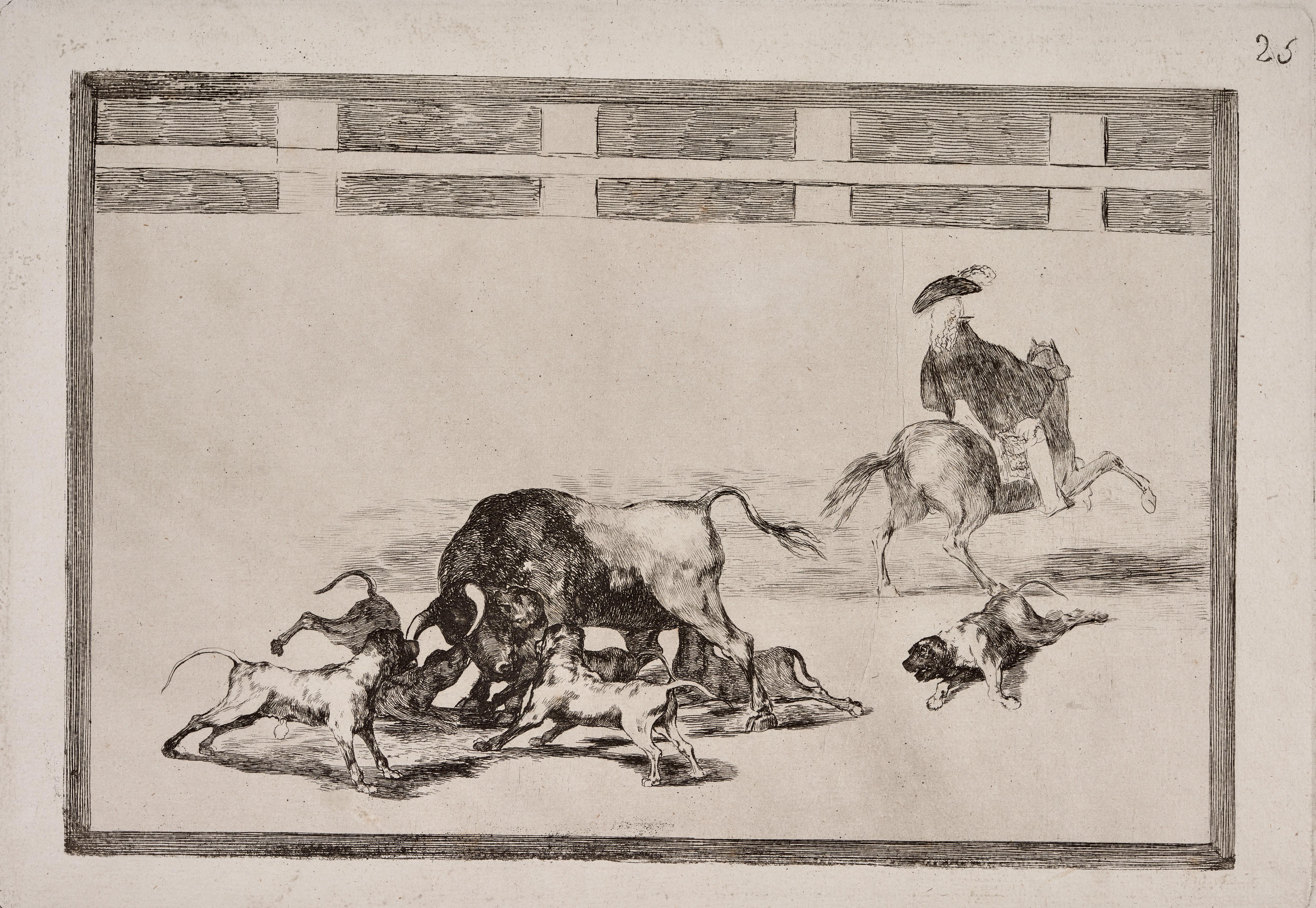 Echan perros al toro [They Loose Dogs on the Bull]