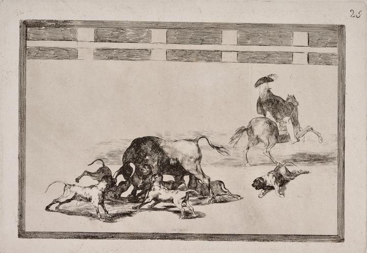 Echan perros al toro