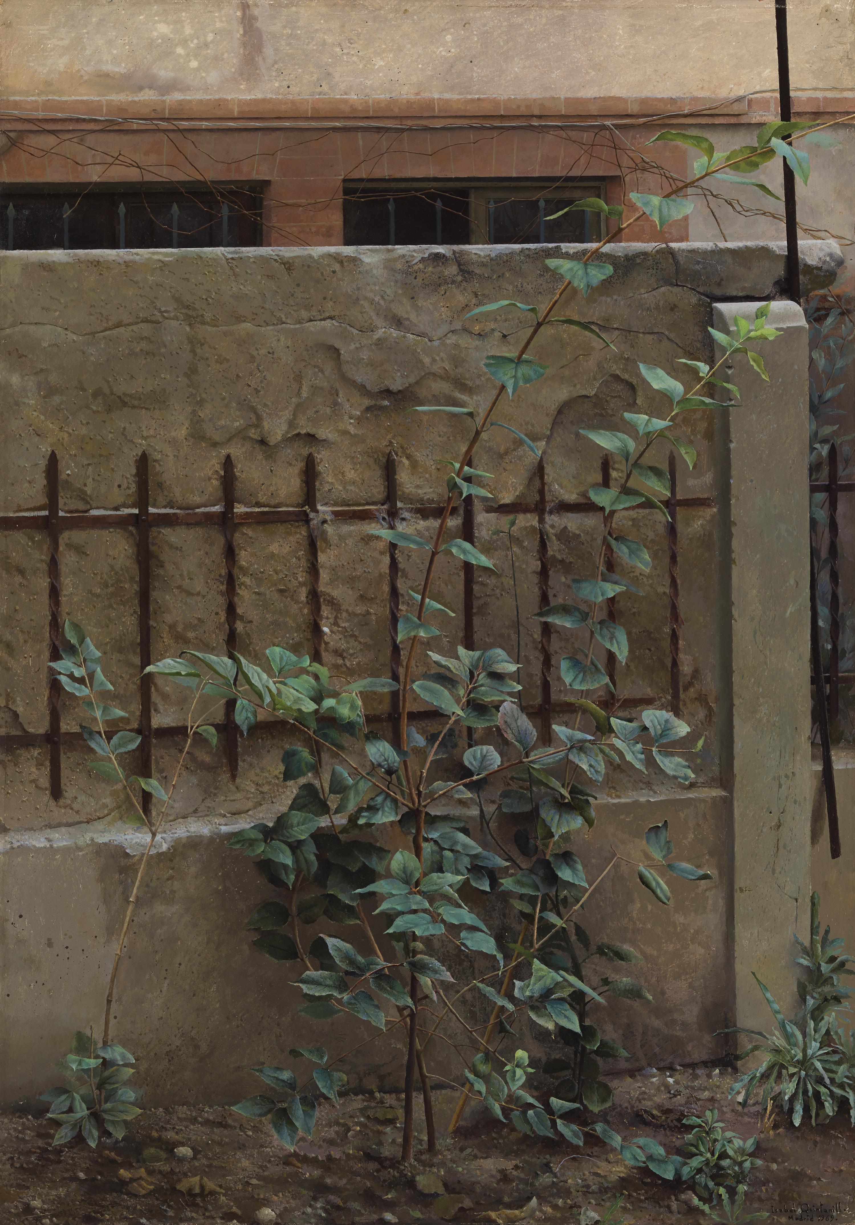 Tapia del estudio de Urola