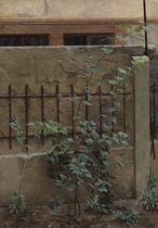 Tapia del estudio de Urola