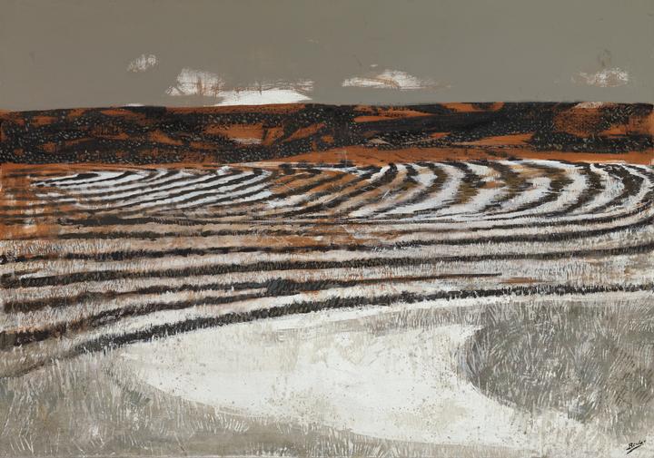 Montes quemados