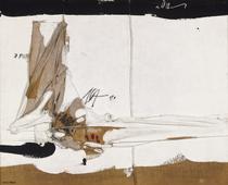 Humboltd en el Orinoco