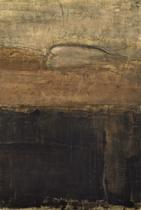 El caminante-El visionario [The Walker - The Visionary]