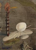 Nocturno [Nocturnal]