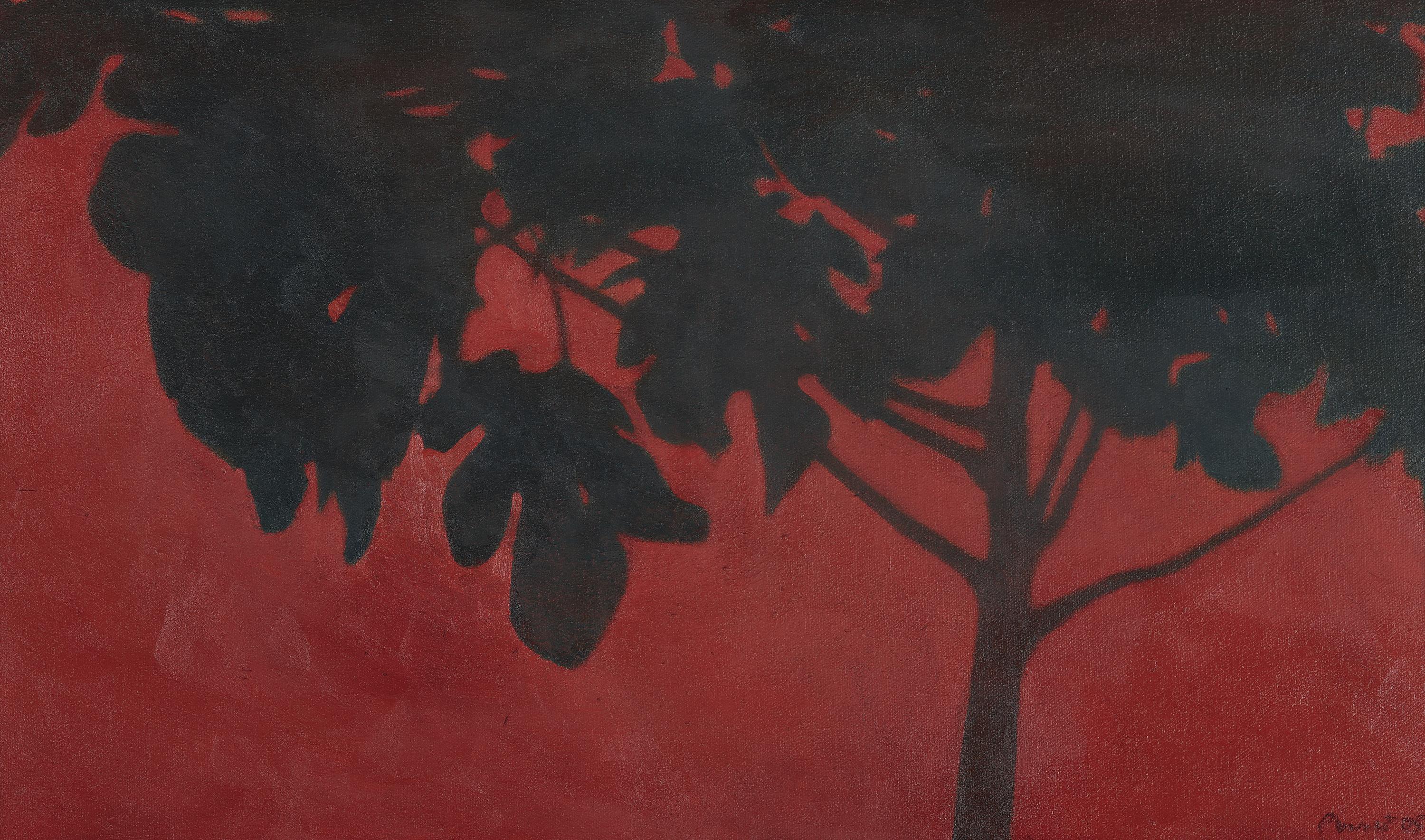 Higuera [Fig Tree]