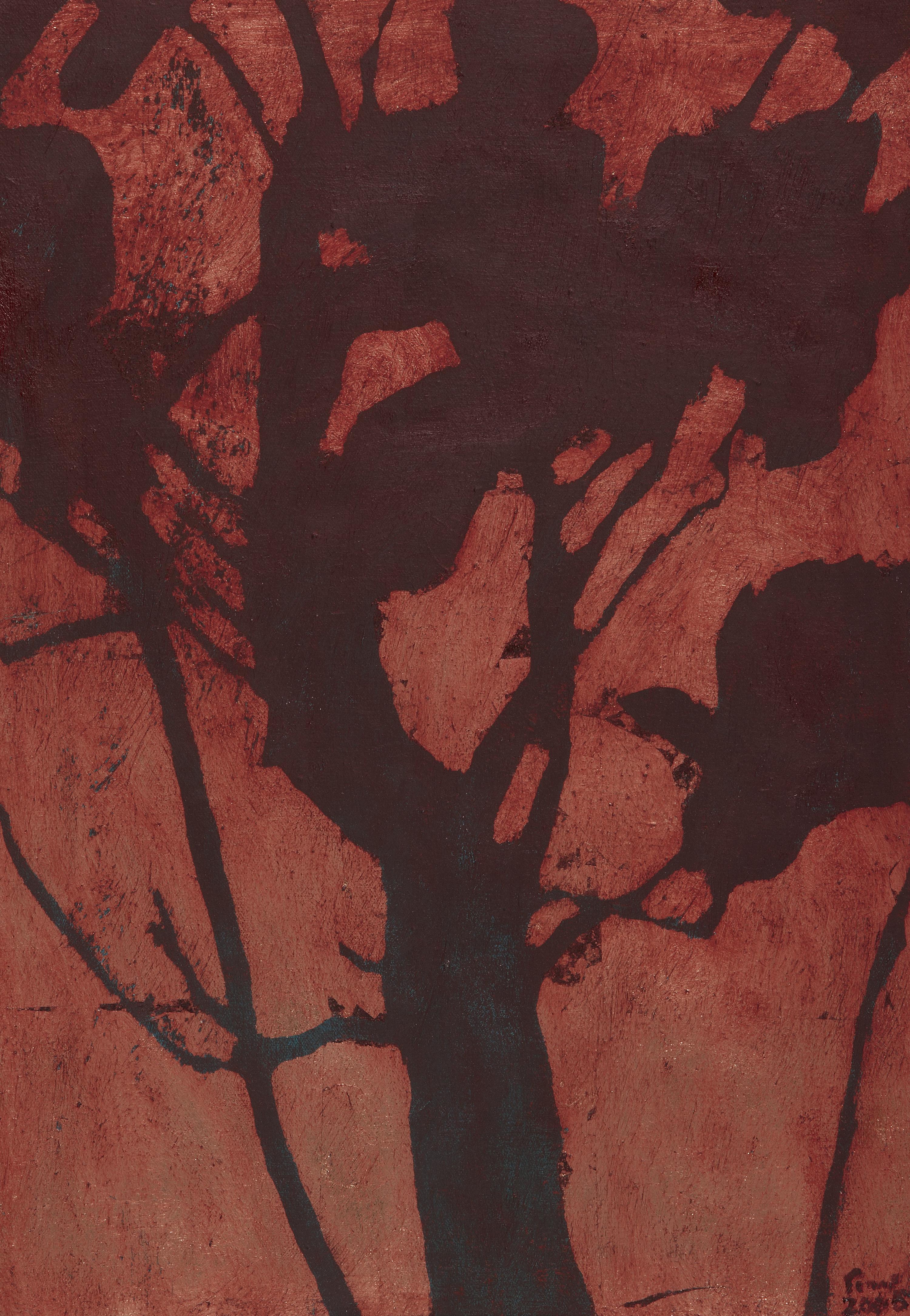 Magnolio a contraluz [Backlit Magnolia]