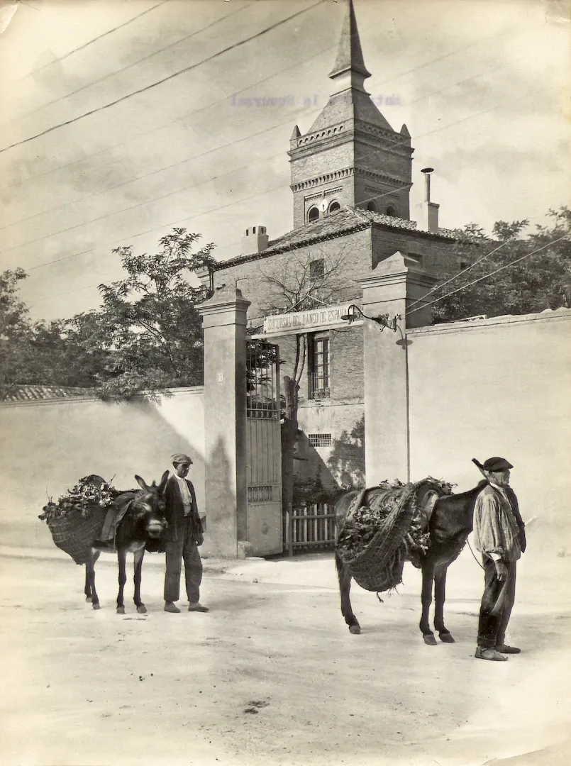 Sucursal de Guadalajara. Vista de la puerta de acceso a los jardines (plaza de Santa María, 1, sede entre 1886 y 1934). 1929. Fotógrafo: Foto Estudio Reyes. Positivo. Plata en gelatina. N.º inv. 305.